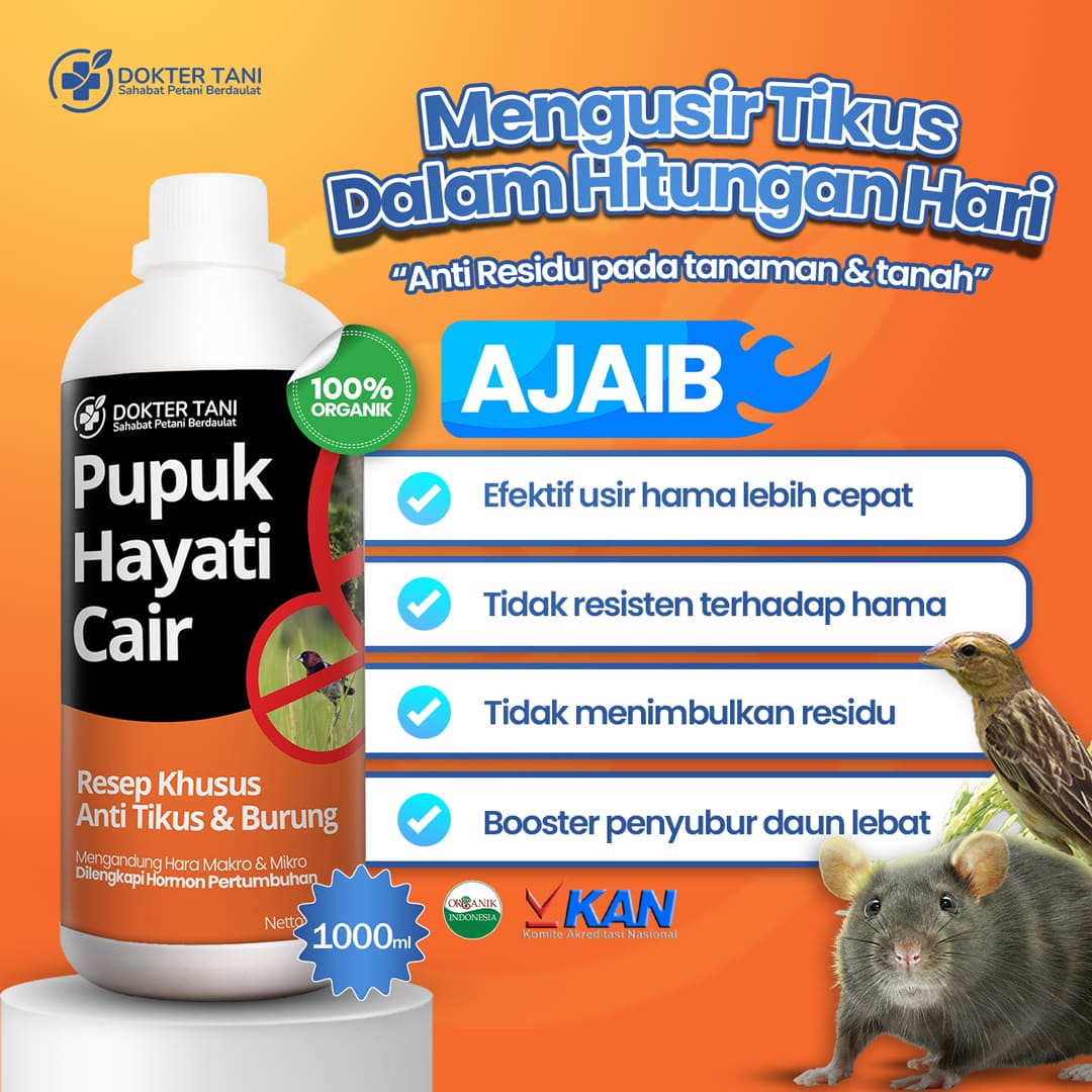 PHC Tikus Dokter Tani
